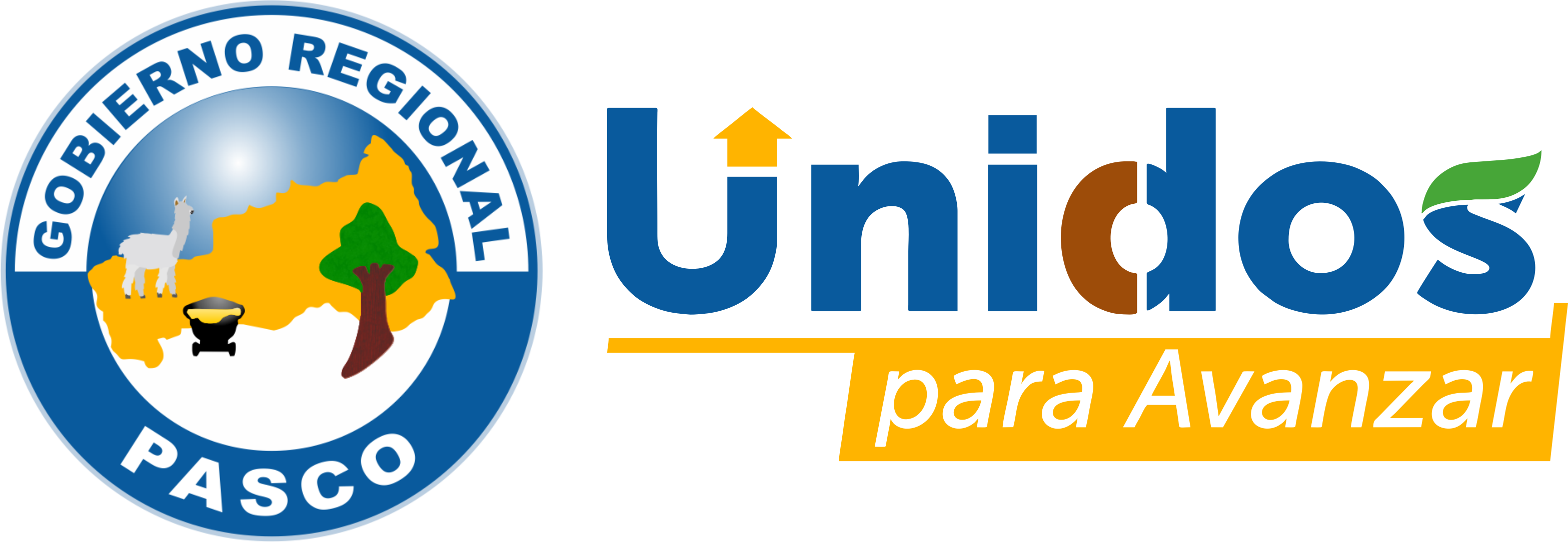 Gobierno Regional de Pasco